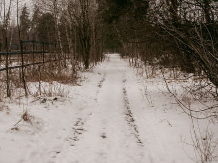 footprints in the snow in rural areas, Russia