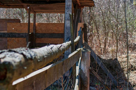 fence paddock for horses, springの写真素材