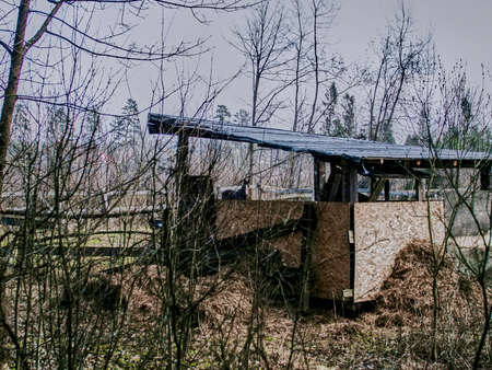 fence paddock for horses, springの写真素材