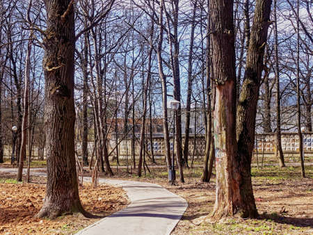 paved walkway in spring park, Moscowの写真素材