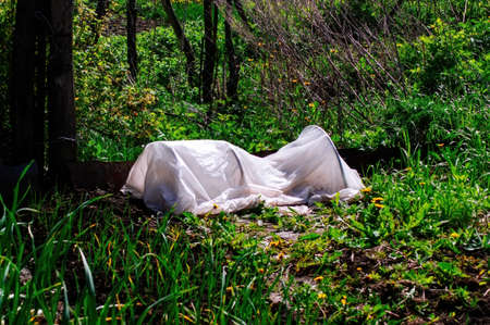 little greenhouse in spring garden, Russiaの写真素材