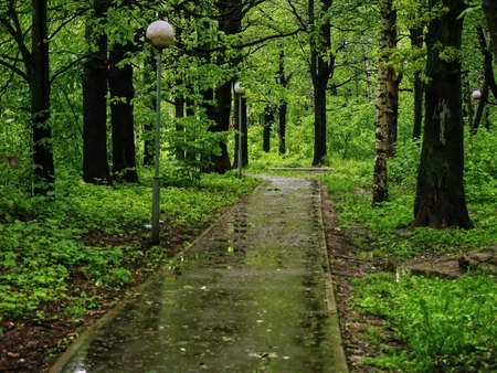 asfolated walkway in the park with lanterns after rain, springの写真素材