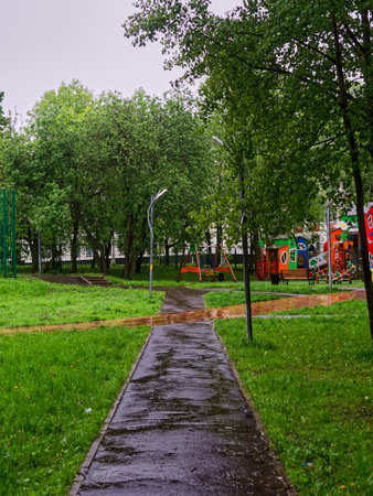 heavy rain and puddles in the park, summerの写真素材