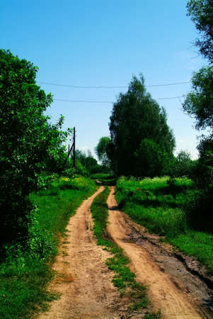 dirt road in the village, in summer