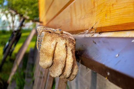 garden glove dries in the sun in the village, in summer