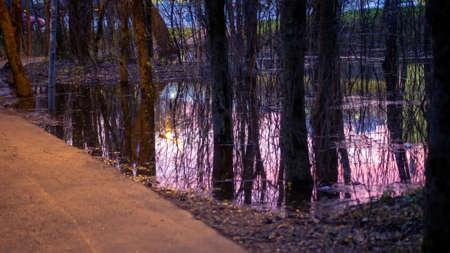 reflection of sunset in a puddle in the forest, in spring