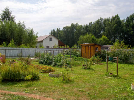 small garden on a rural plot, in summerの写真素材
