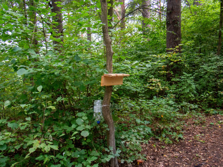 garbage in the forest after tourists, in summerの写真素材