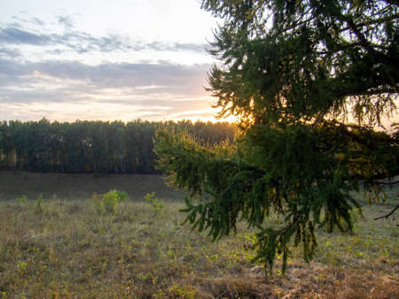 sunset on a clear day over a wooded ravine, in summerの写真素材