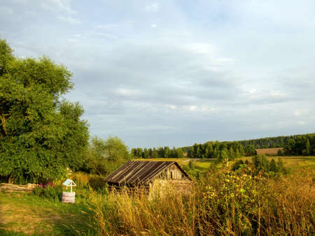 old barn among the trees in the village, in summerの写真素材