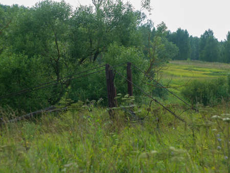 a collapsed wooden pedestrian bridge over the river, in summerの写真素材