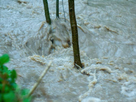strong flow of water in the forest, in spring