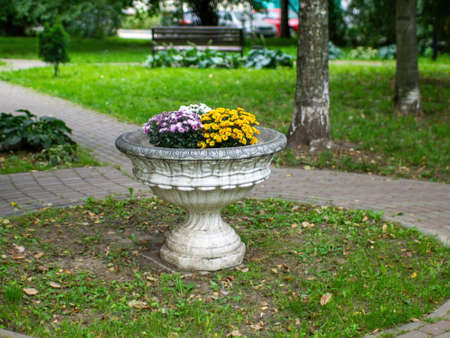 flower bed with flowers in the courtyard of the house, in the springの写真素材