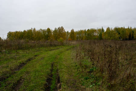 landscape on a cloudy autumn day, central Russiaの写真素材