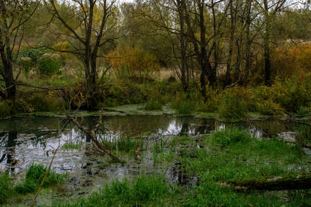 landscape on a cloudy autumn day, central Russia