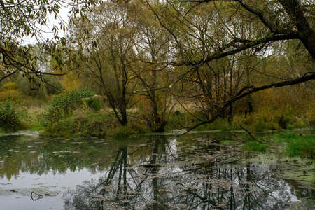 landscape on a cloudy autumn day, central Russia
