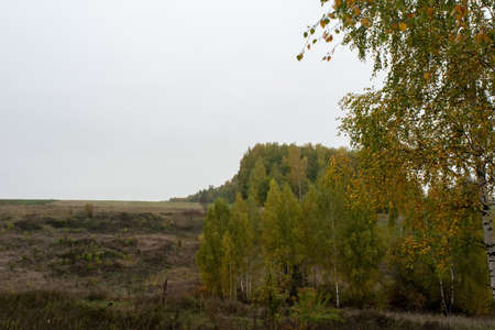 landscape on a cloudy autumn day, central Russiaの写真素材