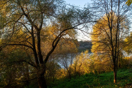 the bank of a large river on a clear day, in autumn