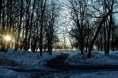 asphalt path near houses in winter, Moscow