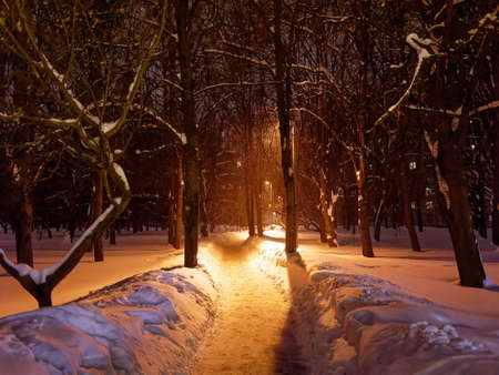 pedestrian path at night in winter, Moscowの写真素材