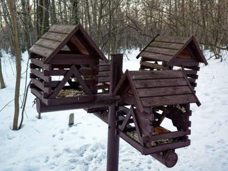 snow-covered forest on a clear day, Moscowの写真素材