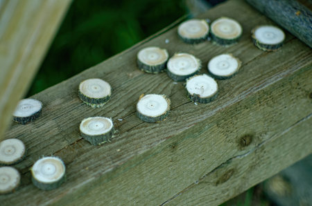 Preparation of wooden circles for runes, irgaの写真素材