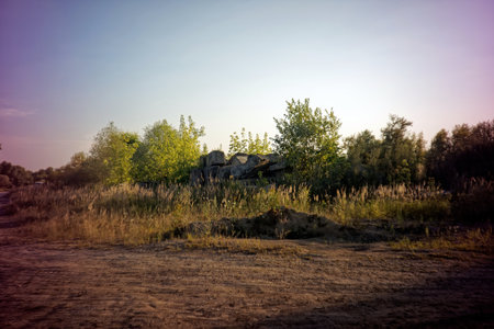 Early evening in summer in the countryside, Russiaの写真素材