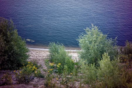 sandy bank of a small river, in summerの写真素材