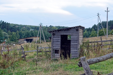 Horses in a paddock on the street, in summerの写真素材