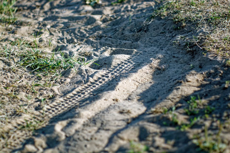 Sandy rural road near the river, in summerの写真素材