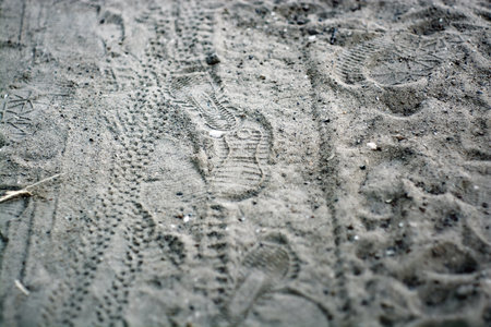 Sandy rural road near the river, in summerの写真素材
