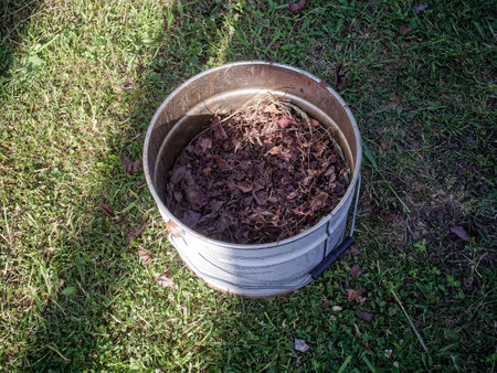 Tin bucket with fallen leaves in autumn