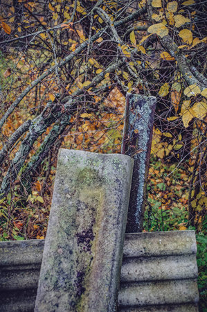 Metal mesh fence in the village in autumnの写真素材