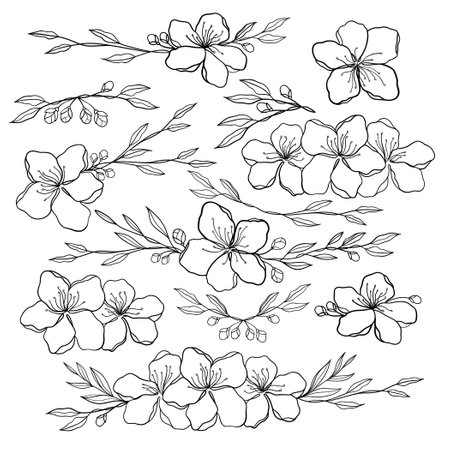 Continuous Line Drawing Set Of Plants Black Sketch of Flowers Isolated on White Background. Flowers One Line Illustration. Minimalist Print Set. Vector EPS 10のイラスト素材