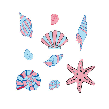 Vector illustration of a set of seashells for your designのイラスト素材