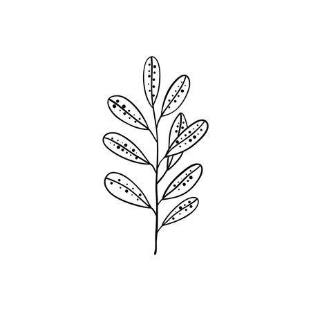 Botanical linear leaf. Abstract minimalist leaves collection, creative herbal art. Vector illustrationのイラスト素材