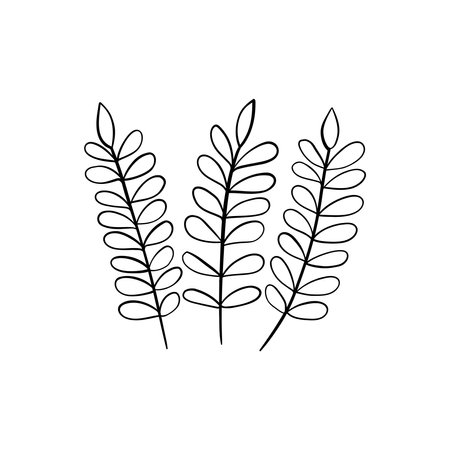 Botanical linear leaf. Abstract minimalist leaves collection, creative herbal art. Vector illustrationのイラスト素材