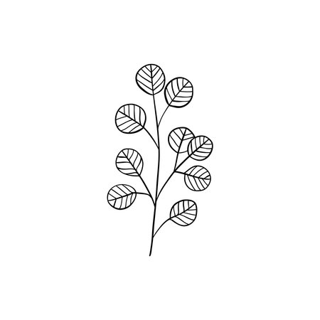 Botanical linear leaf. Abstract minimalist leaves collection, creative herbal art. Vector illustrationのイラスト素材