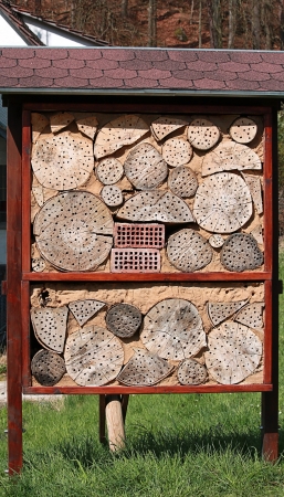Insect hotel in the forest - supporting wild bees and wasps in their reproductionの写真素材