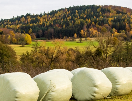   Landscape with hay bales in autumnの写真素材