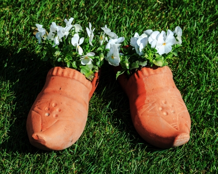 White pansies planted in shoesの写真素材