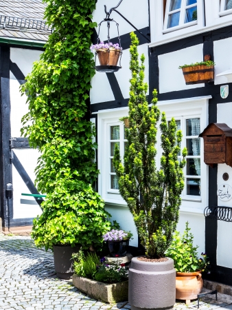 Green potted plants in front of half timbered houseの写真素材