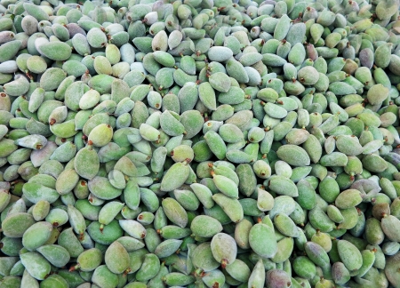 Green pistachiosの写真素材