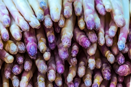 Fresh purple asparagus tipsの写真素材