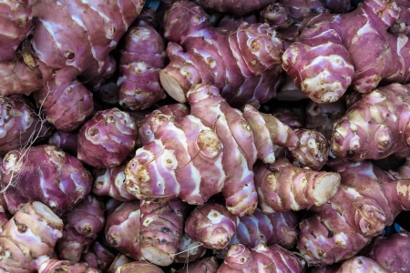 Topinambur, Jerusalem artichokeの写真素材