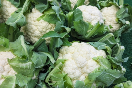 Cauliflowerの写真素材