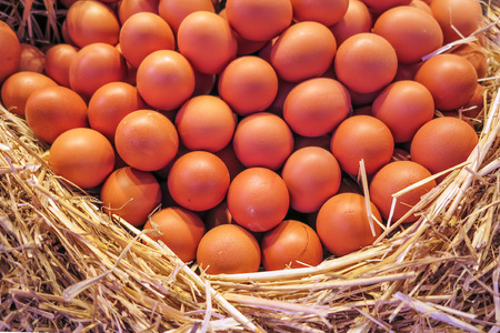 Eggs mountain at market in Barcelona の写真素材