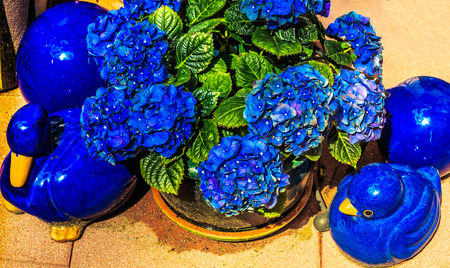 Garden Decoration in Blue の写真素材