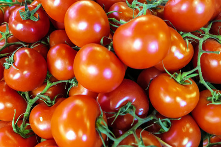 Red tomatoesの写真素材