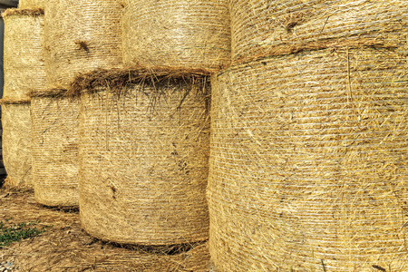 Straw rolls after the cereal crop in the barn